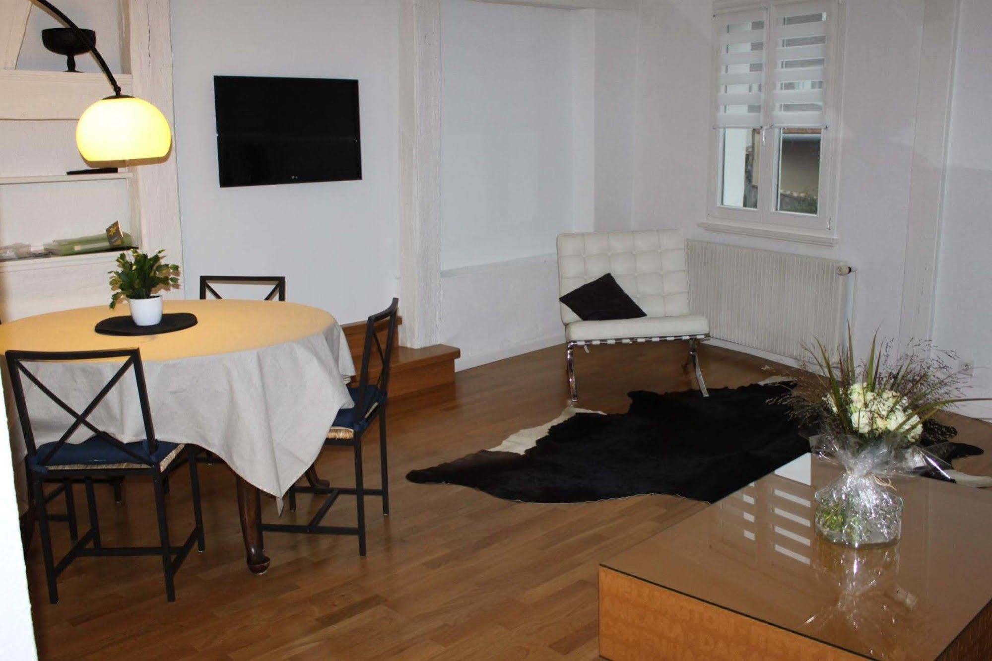 Les Appartements De Home Petite Venise Кольмар Екстер'єр фото