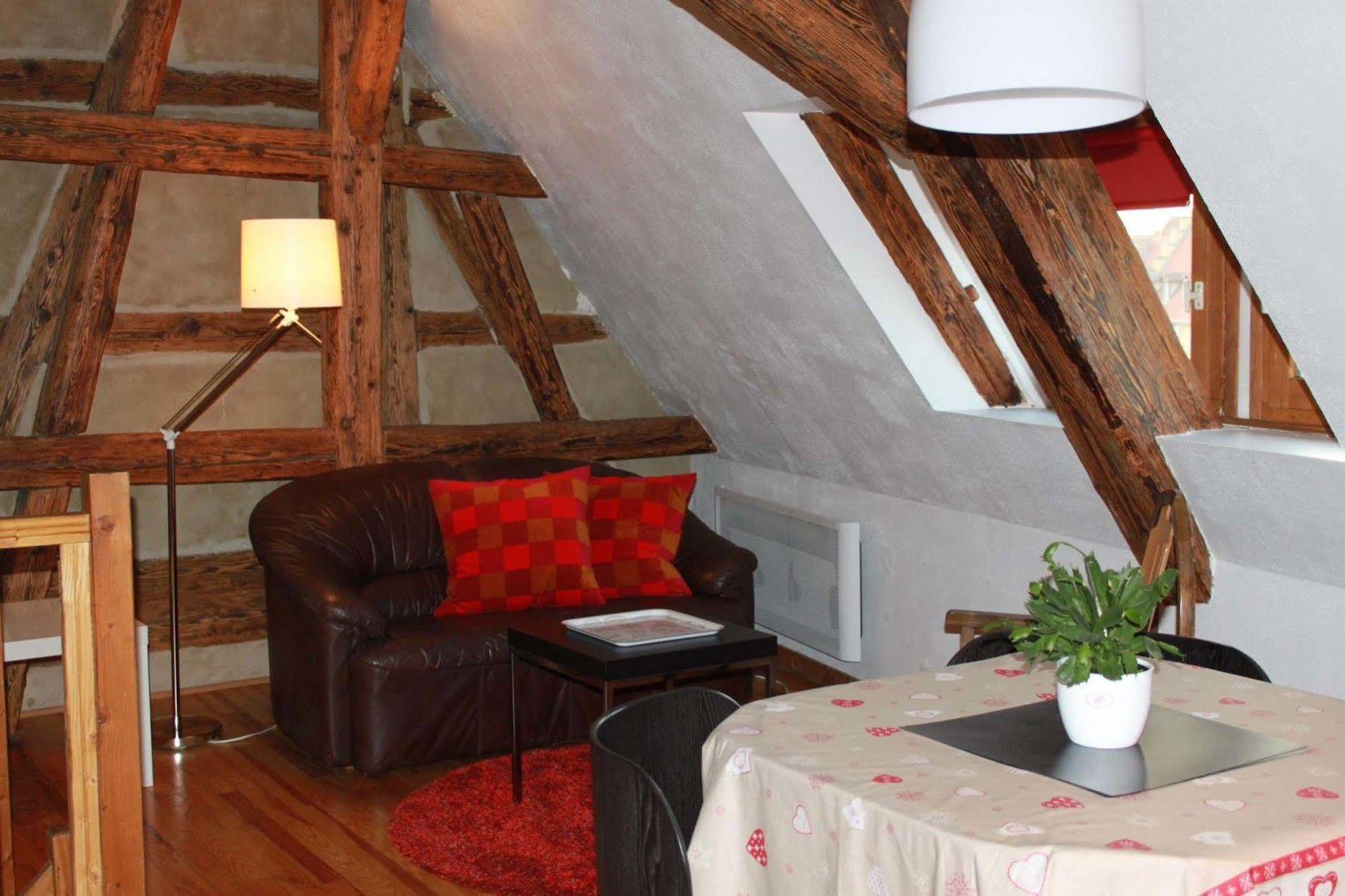 Les Appartements De Home Petite Venise Кольмар Екстер'єр фото