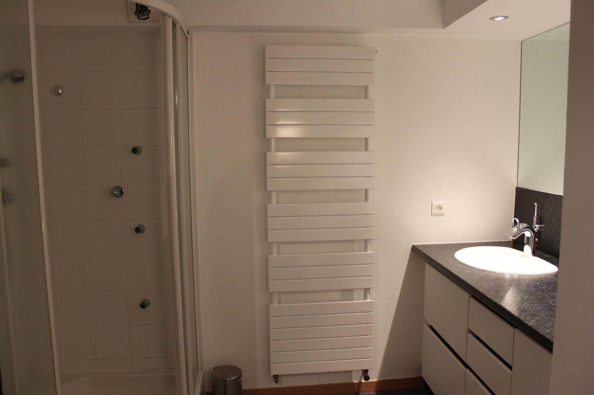 Les Appartements De Home Petite Venise Кольмар Екстер'єр фото