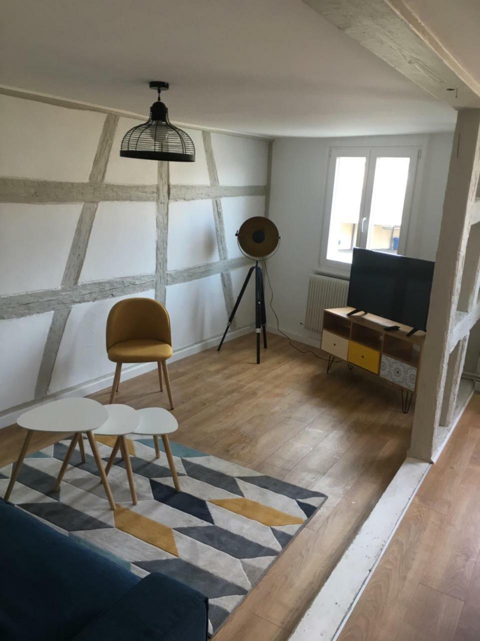 Les Appartements De Home Petite Venise Кольмар Екстер'єр фото